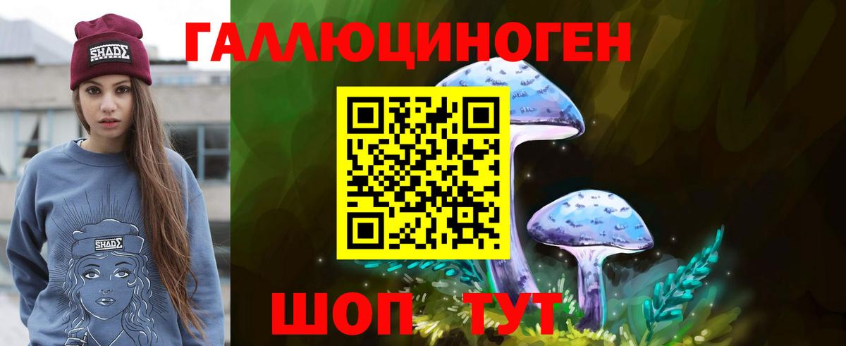 Галлюциногенные грибы мухоморы Гусиноозёрск