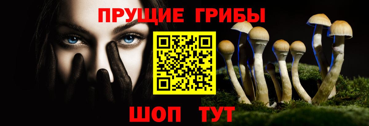 Гусиноозёрск  Псилоцибиновые грибы мицелий  Вход с VPN 